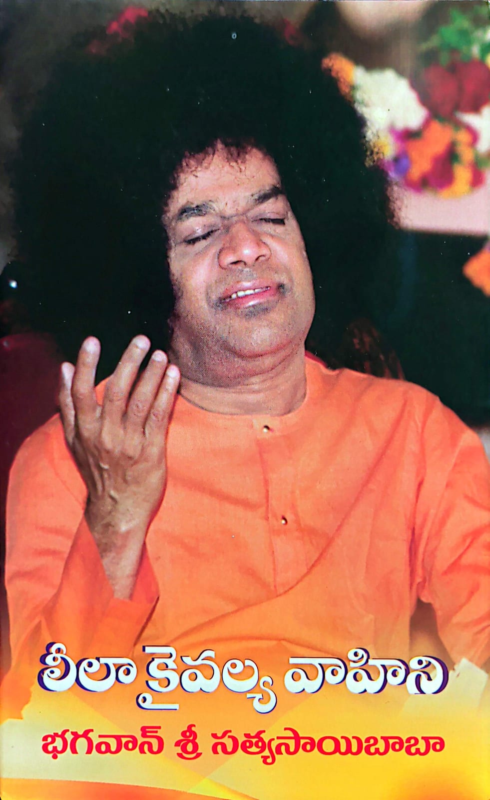 Cover of Leela Kaivalya Vahini