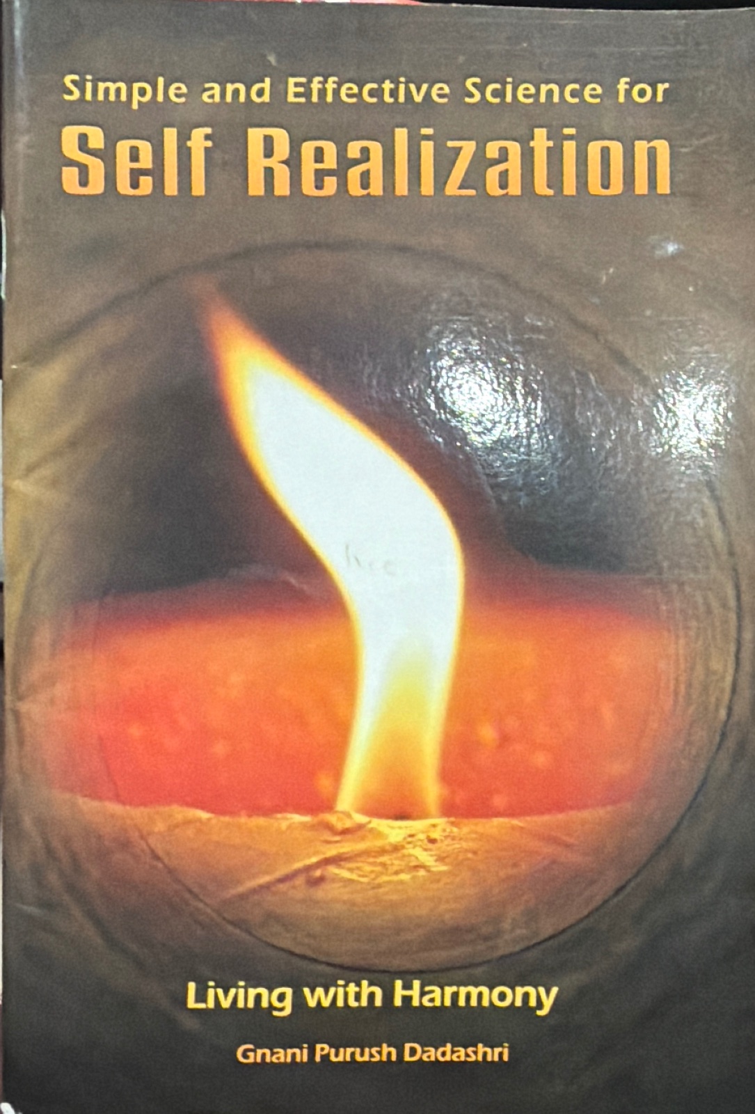 Cover of Self Realization ( living with harmony )