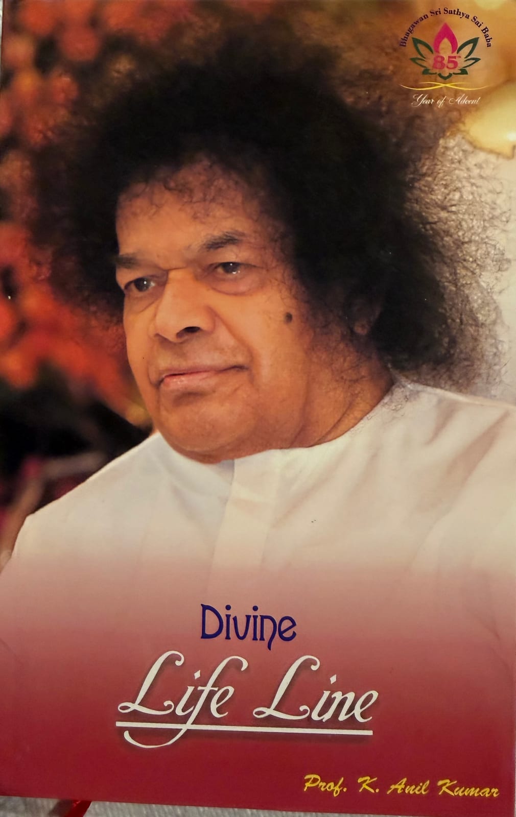Cover of Divine Life Line